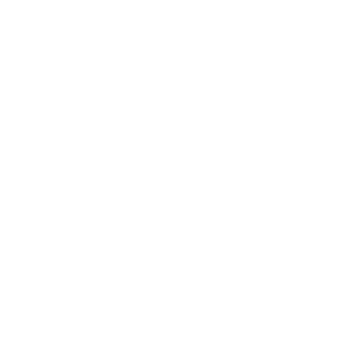 Support Icon