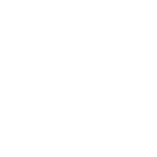Websites Icon